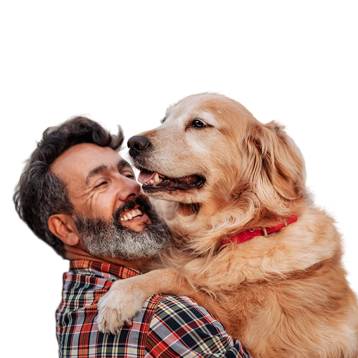 middle-aged man hugging a very large golden retriever